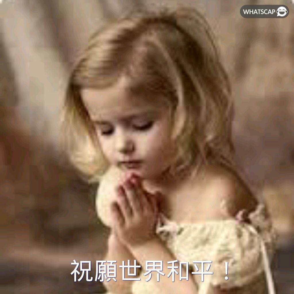 东契奇感叹,胜利喜悦中,夹杂情感波,2026FIFA世界杯直播赛程,世界杯门票