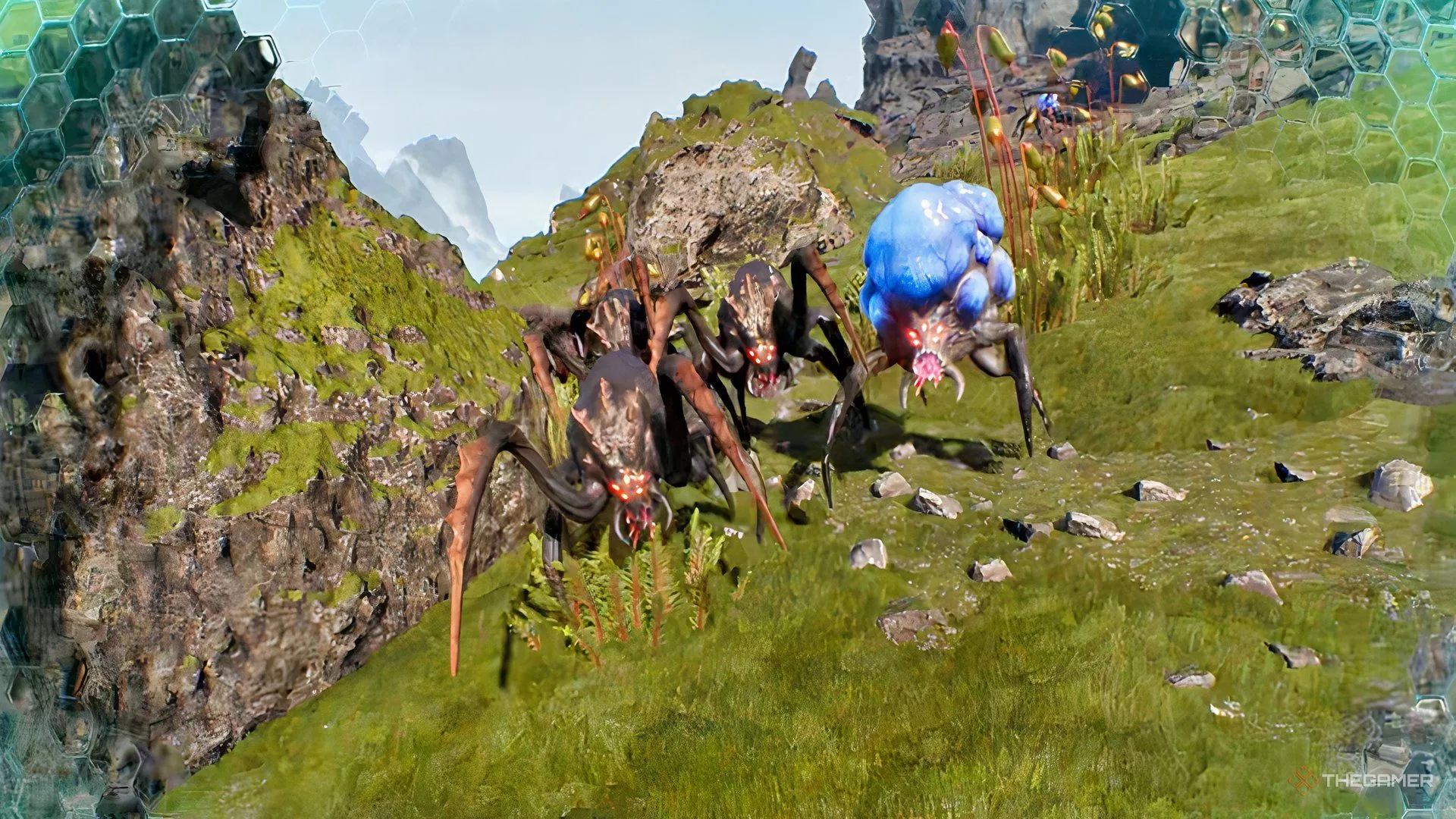 年世界杯赛,程时间表,资讯,2026FIFA世界杯直播赛程,世界杯门票